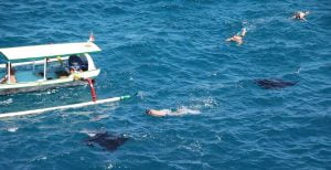 One-day West Nusa Penida and Snorkeling Tour